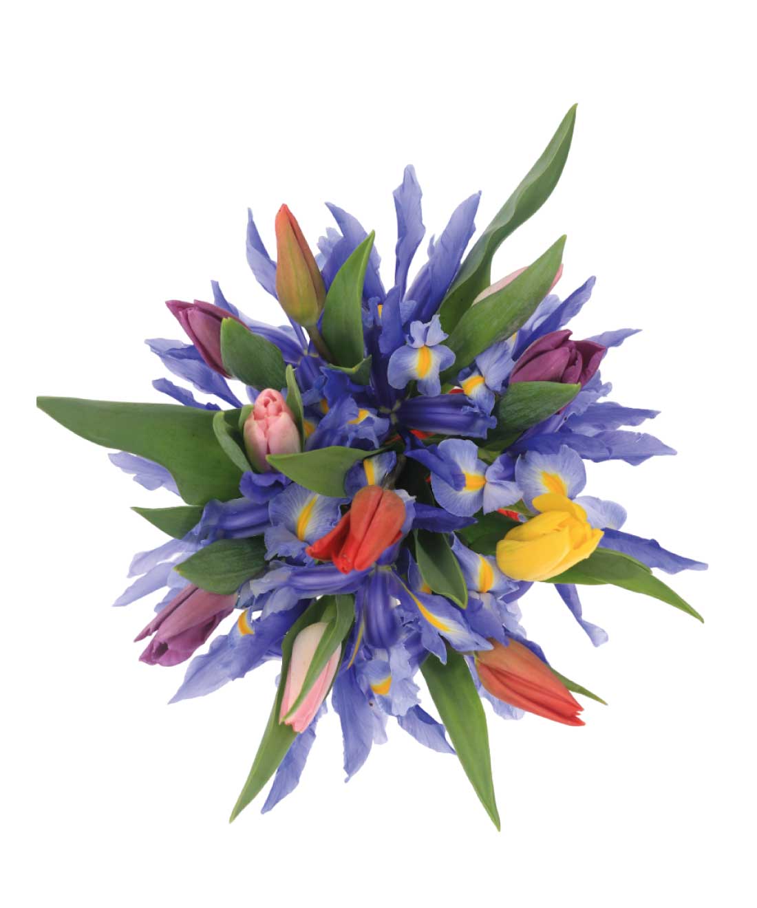 product-additional-image