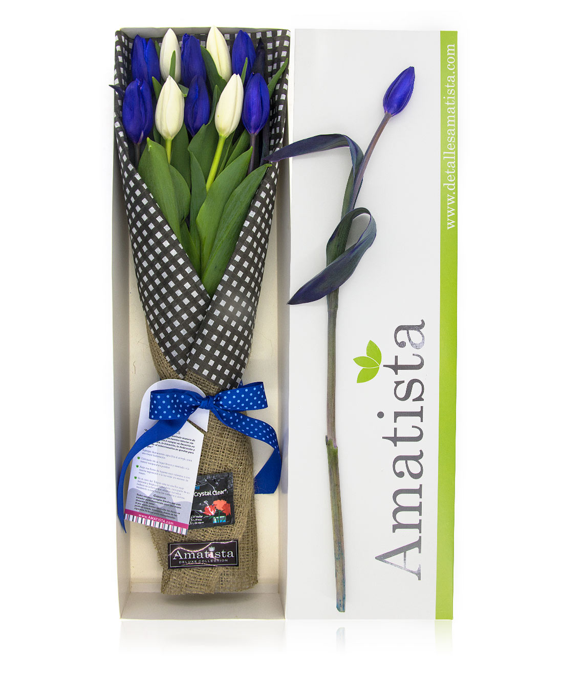 Caja Ramo De 10 Tulipanes (Azul Y Blanco) - Detalles Amatista