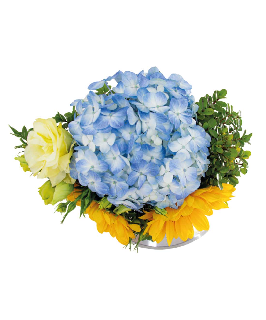product-additional-image